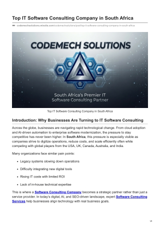 Top IT Software Consulting Company in South Africa
