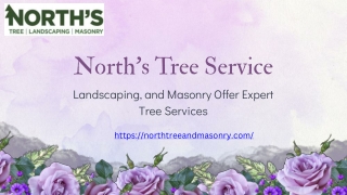 North’s Tree Service, Landscaping, and Masonry Offer Expert Tree Services