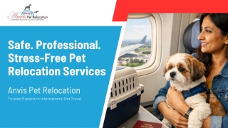 Safe & Reliable Pet Moving Services for Stress-Free Travel
