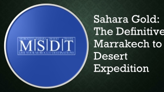 Sahara Gold The Definitive Marrakech to Desert Expedition