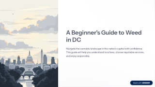 A Beginner's Guide to Weed in DC