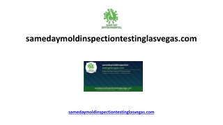 samedaymoldinspectiontestinglasvegas.com