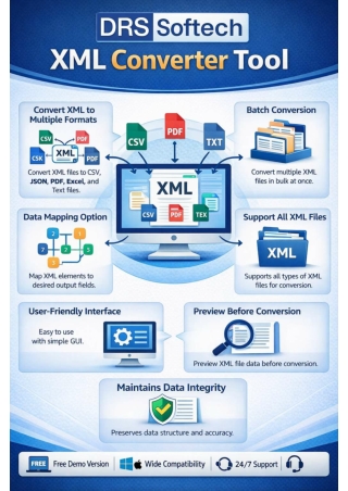 DRS Softech XML Converter Tool