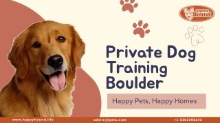 Personalized Private Dog Training in Boulder