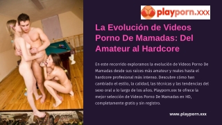 La Evolución de Videos Porno De Mamadas Del Amateur al Hardcore