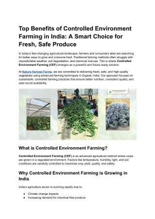 Top Benefits of Controlled Environment Farming in India_ A Smart Choice for Fresh, Safe Produce