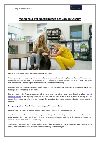 What to Do When Your Pet Needs Urgent Care - Westmount Animal Clinic
