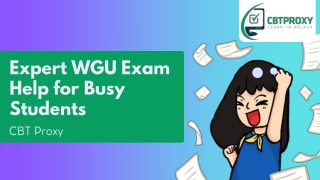 Expert WGU Exam Help for Busy Students
