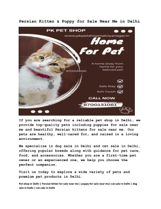 Persian Kitten & Puppy for Sale Near Me in Delhi