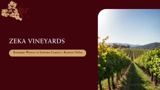 Zeka Vineyards Bennett Valley Pinot Noir Excellence