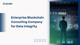 Enterprise Blockchain Consulting Company for Data Integrity
