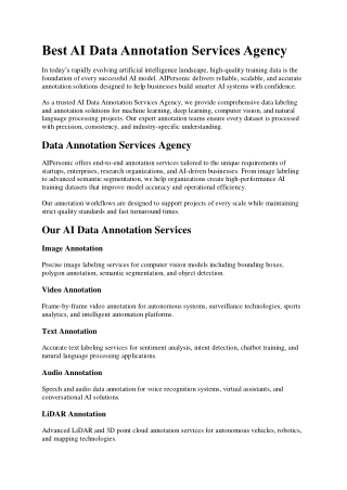 Best AI Data Annotation Services Agency