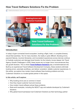 How Travel Software Solutions Fix the Problem