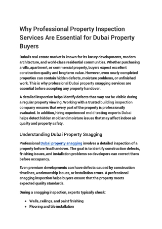 Why Professional Property Inspection Services Are Essential for Dubai Property B