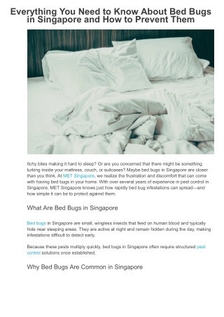 Everything You Need to Know About Bed Bugs in Singapore and How to Prevent Them