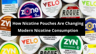 How Nicotine Pouches Are Changing Modern Nicotine Consumption.