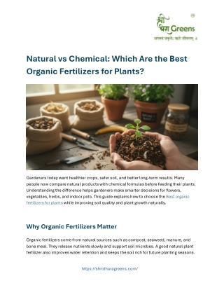 Natural vs Chemical Which Are the Best Organic Fertilizers for Plants