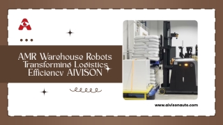AMR Warehouse Robots
