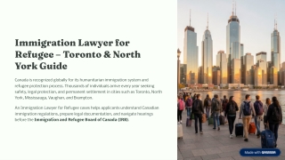 Experienced Immigration Lawyer Toronto for Visa & PR Legal Help