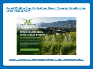 Smart Wilding Pine Control and Drone Spraying Solutions for Land Management