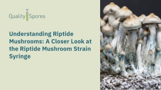 Riptide Mushroom Strain Syringe Explained| Riptide Mushroom Strain Syringe for R