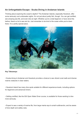 Scuba Diving in Andaman - An Unforgettable Journey to Explore Aquatic Life