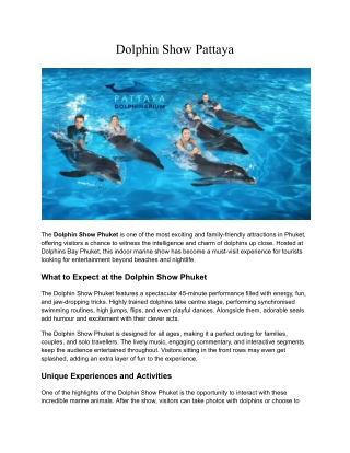 Dolphin Show Pattaya