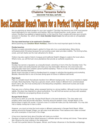 Best Zanzibar Beach Tours for a Perfect Tropical Escape