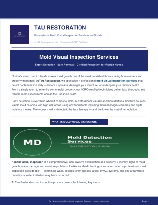 Reliable Mold Visual Inspection Services by Tau Restoration