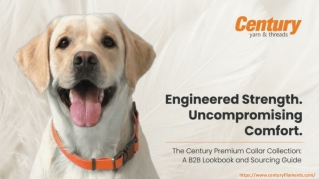 Century Filaments | Premium Dog Collar Collection