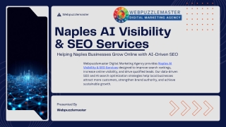 Naples AI Visibility & SEO Services - Webpuzzlemaster Digital Marketing Agency