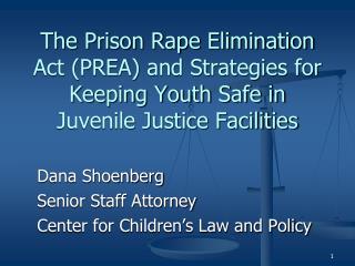 The Prison Rape Elimination Act (PREA) and Strategies for Keeping Youth Safe in Juvenile Justice Facilities