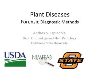 Plant Diseases Forensic Diagnostic Methods