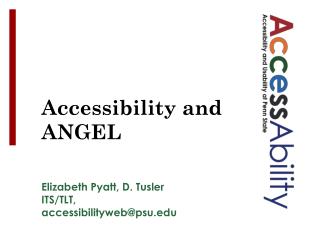 Accessibility and ANGEL