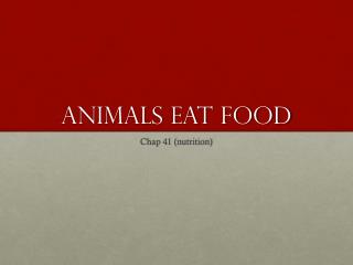 Animals Eat Food