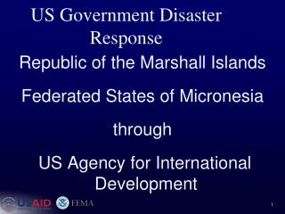 US Government Disaster Response