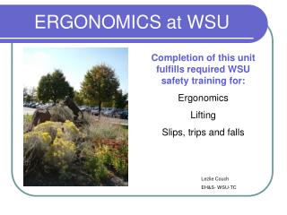 ERGONOMICS at WSU