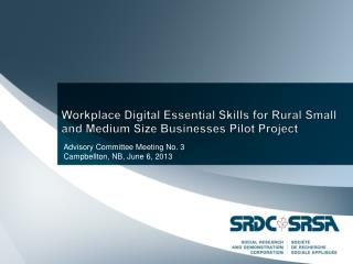 Workplace Digital Essential Skills for Rural Small and Medium Size Businesses Pilot Project