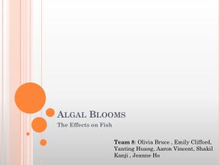 Algal Blooms