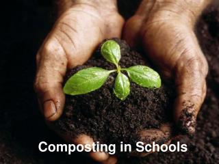 Composting in Schools