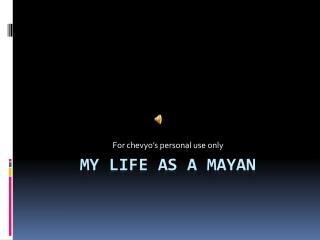 My life as a Mayan