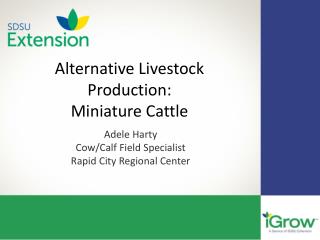 Alternative Livestock Production: Miniature Cattle