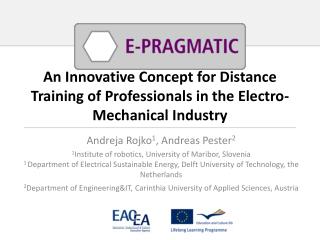 An Innovative Concept for Distance Training of Professionals in the Electro-Mechanical Industry