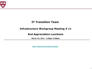 IT Transition Team