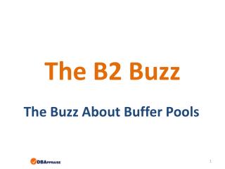 The B2 Buzz