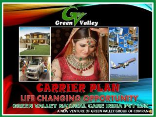 GREEN VALLEY NATURAL CARE INDIA PVT LTD