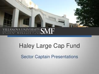 Haley Large Cap Fund