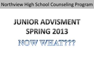 Northview High School Counseling Program