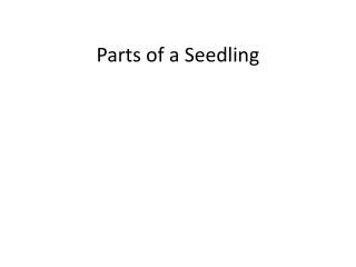 Parts of a Seedling
