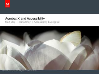 Acrobat X and Accessibility